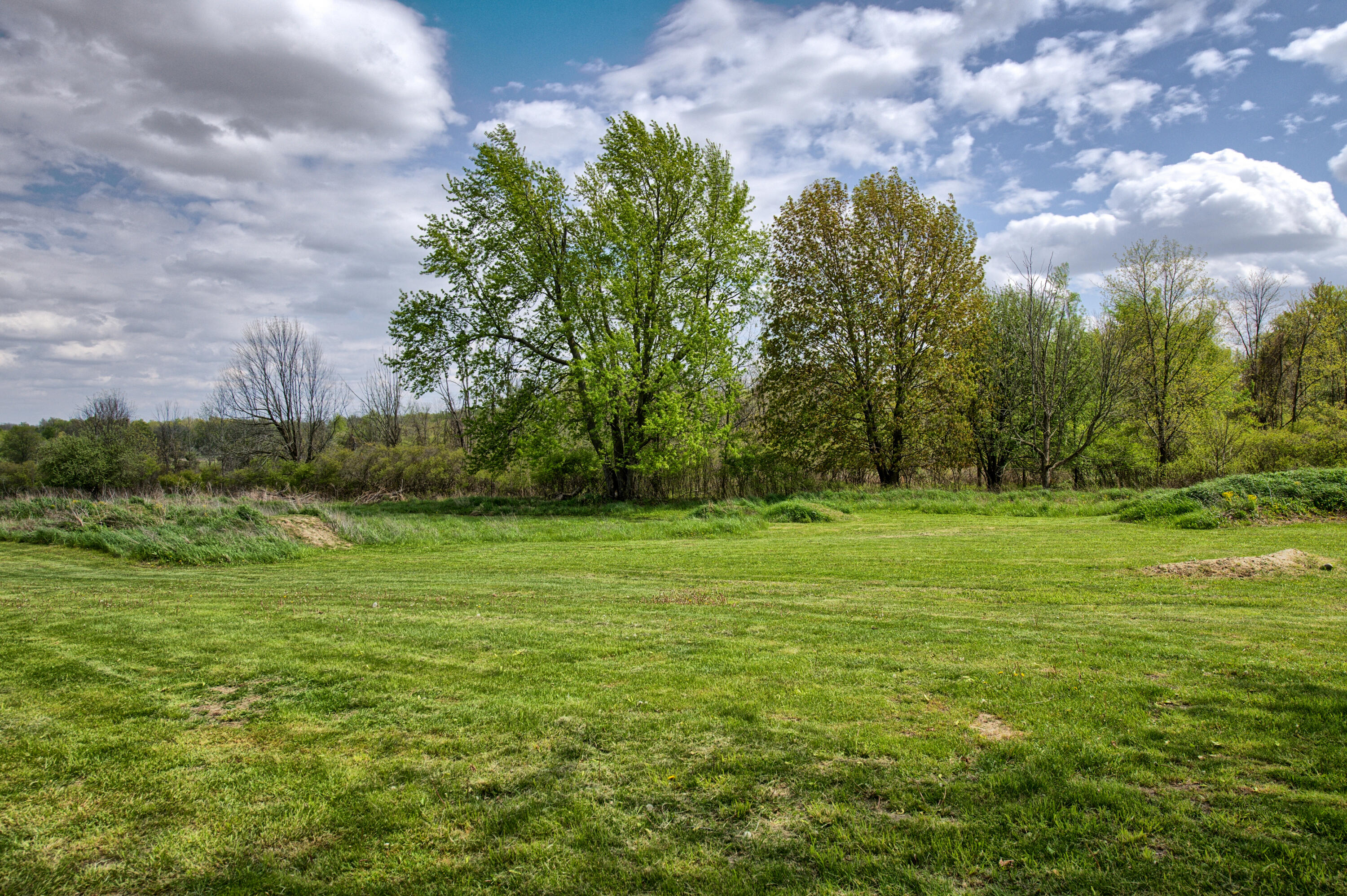8250 Oneida Road Grand Ledge, MI 48837 - Photo 38 of 55 Yard