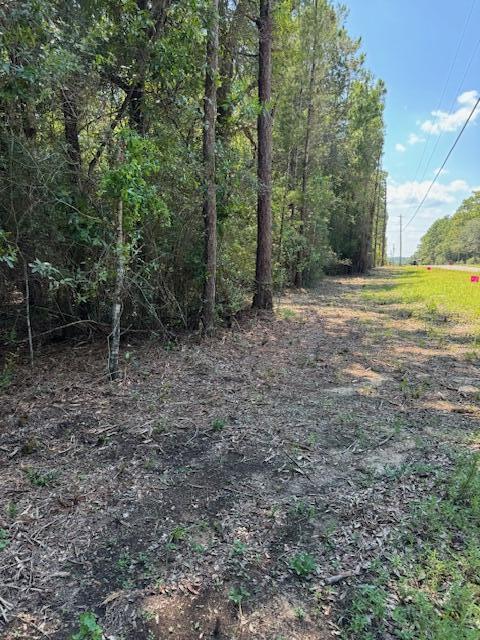 0 Rainbird Rise Road Crestview, FL 32539 - Photo 3 of 10 a view of a yard with a tree