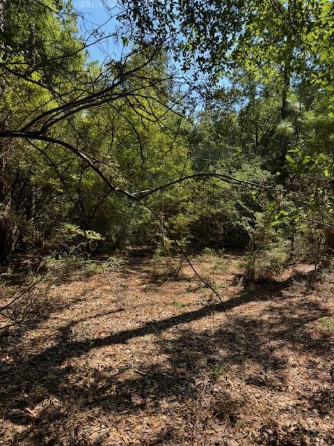 0 Rainbird Rise Road Crestview, FL 32539 - Photo 8 of 10 a view of a yard with plants and trees