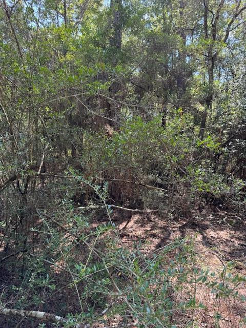 0 Rainbird Rise Road Crestview, FL 32539 - Photo 10 of 10 a view of an outdoor space with a lake view