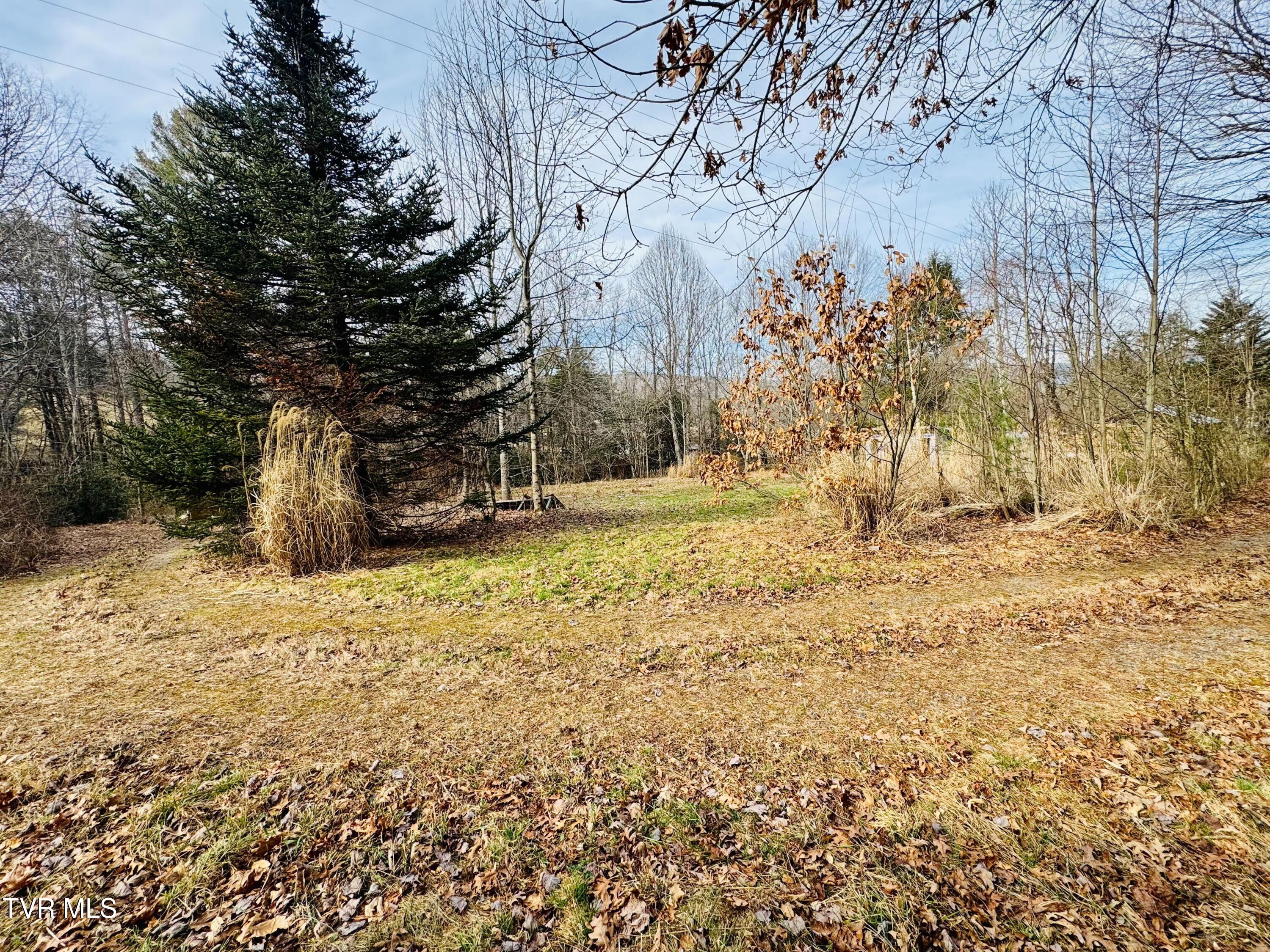 391 Hopper Road Shady Valley, TN 37688 - Photo 16 of 25 IMG_6244