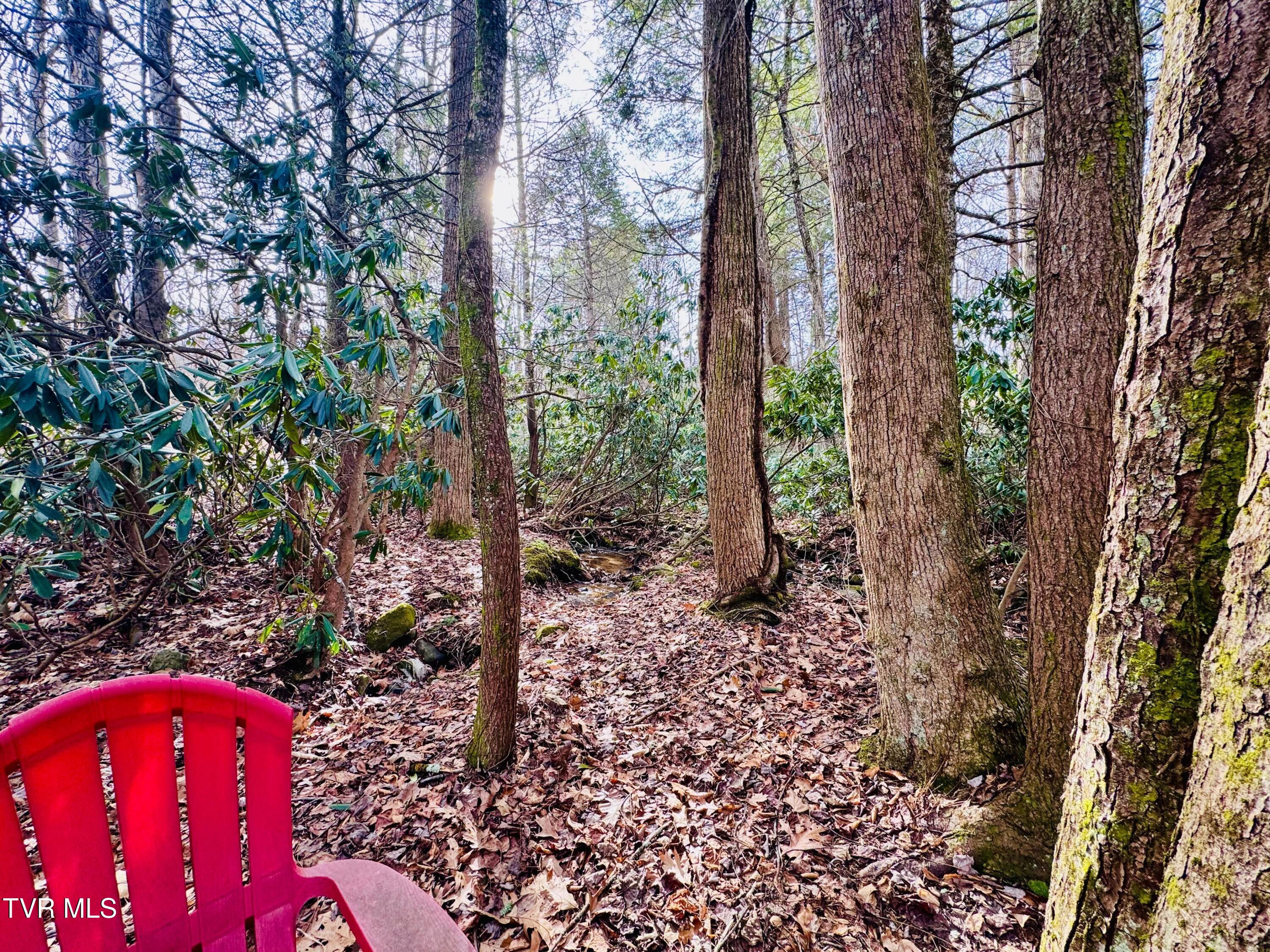 391 Hopper Road Shady Valley, TN 37688 - Photo 17 of 25 IMG_6252