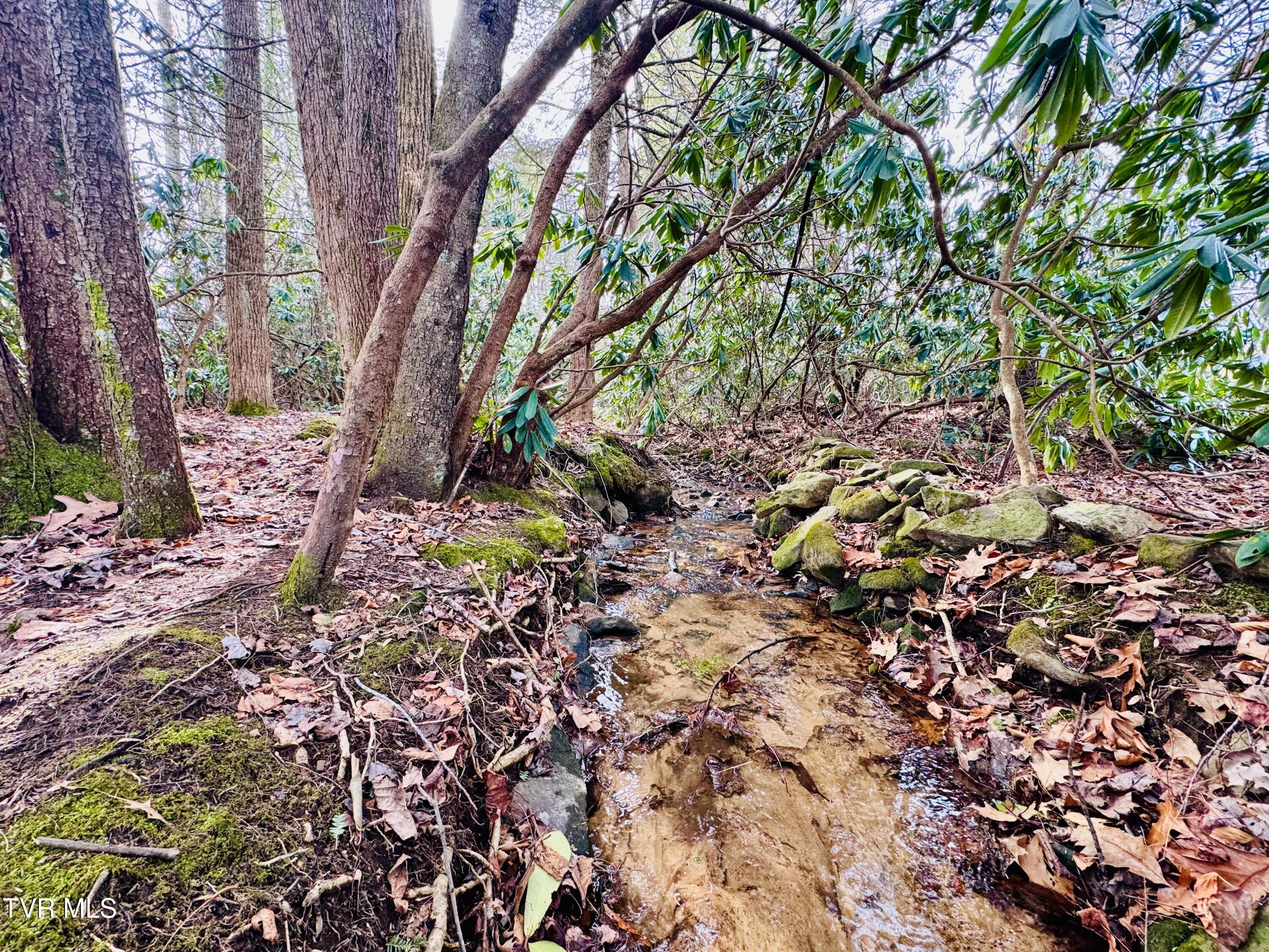 391 Hopper Road Shady Valley, TN 37688 - Photo 18 of 25 IMG_6253