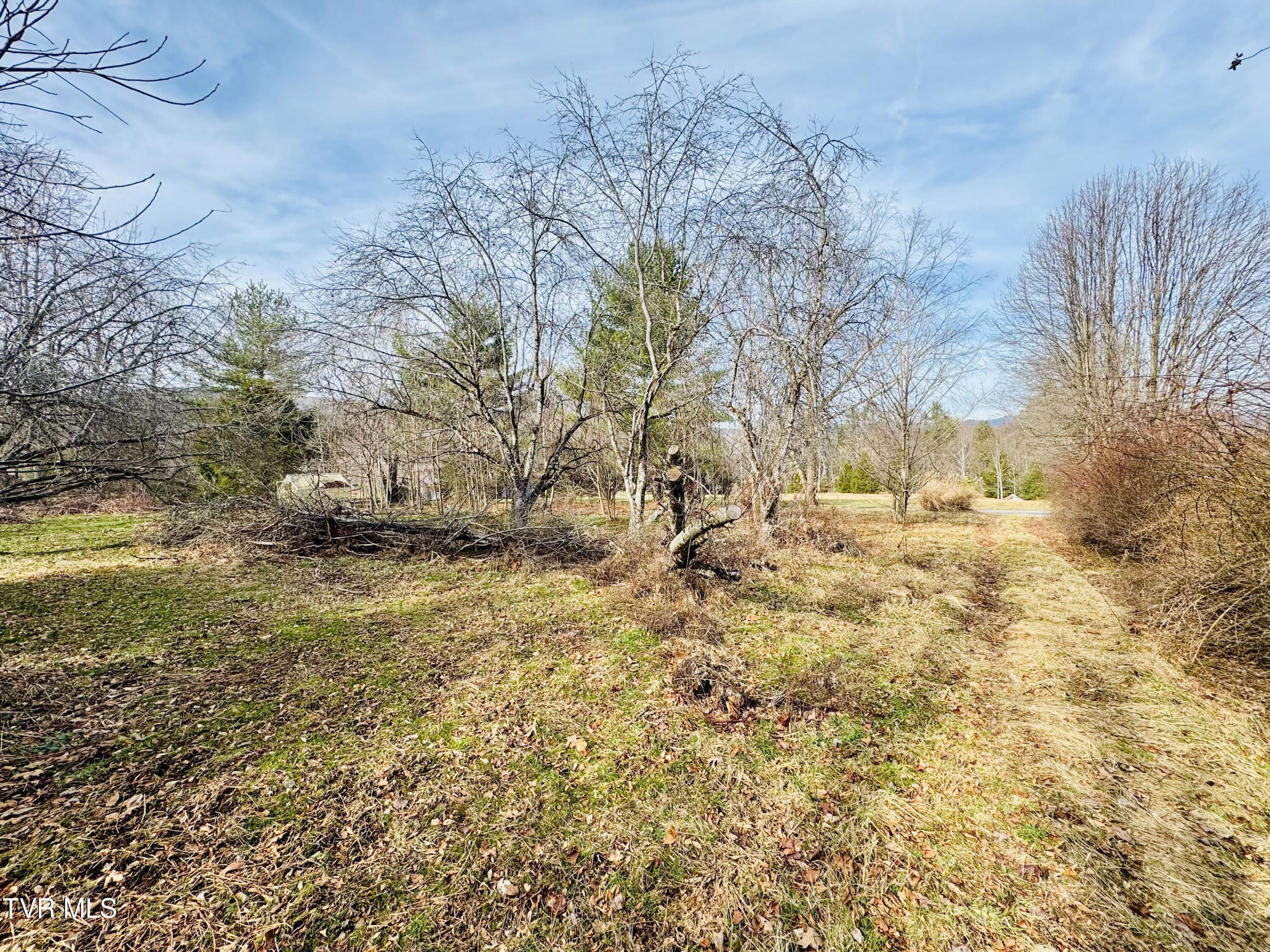 391 Hopper Road Shady Valley, TN 37688 - Photo 22 of 25 IMG_6200