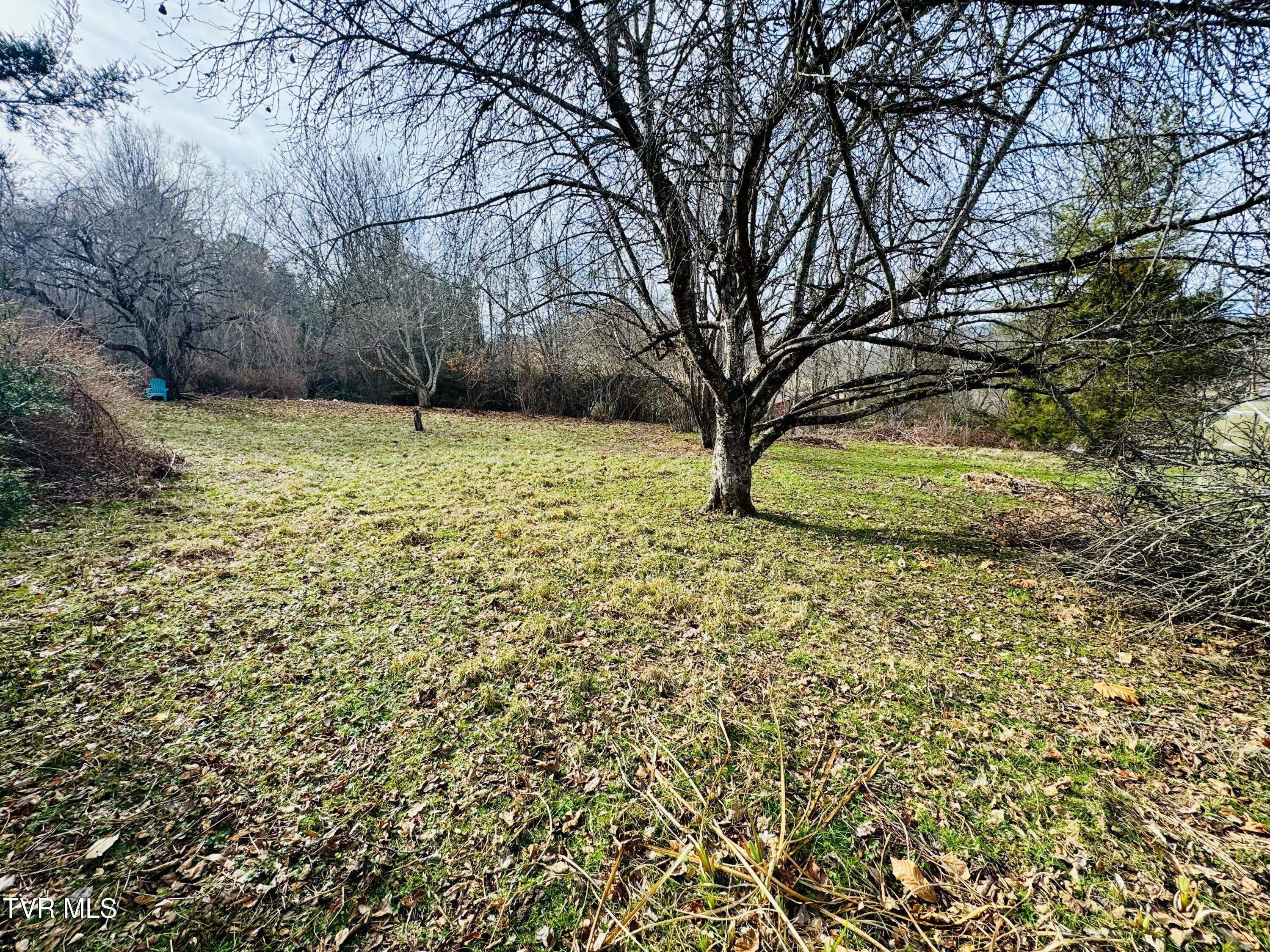 391 Hopper Road Shady Valley, TN 37688 - Photo 23 of 25 IMG_6203