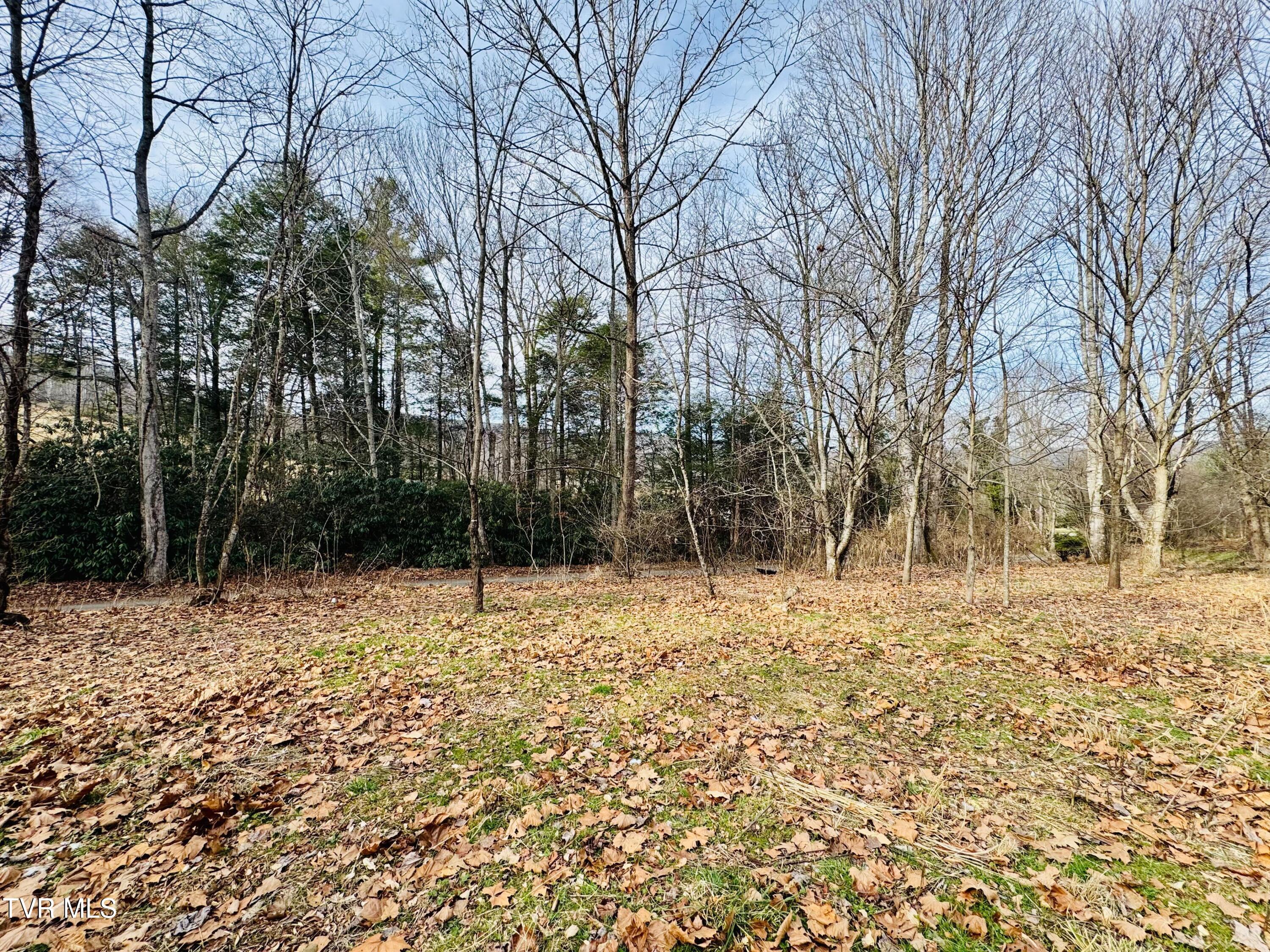 391 Hopper Road Shady Valley, TN 37688 - Photo 24 of 25 IMG_6223