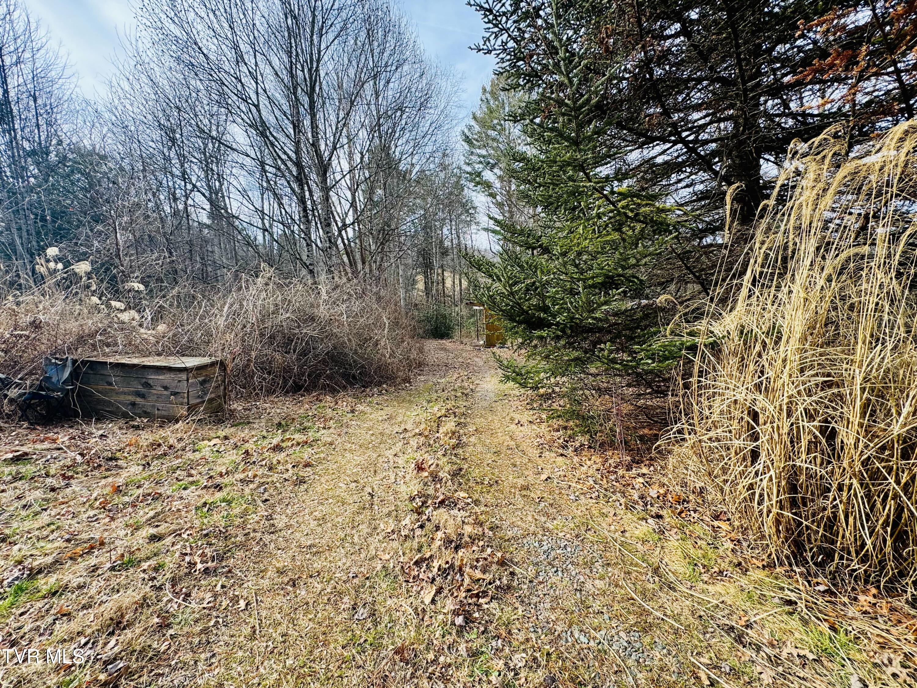 391 Hopper Road Shady Valley, TN 37688 - Photo 25 of 25 IMG_6227