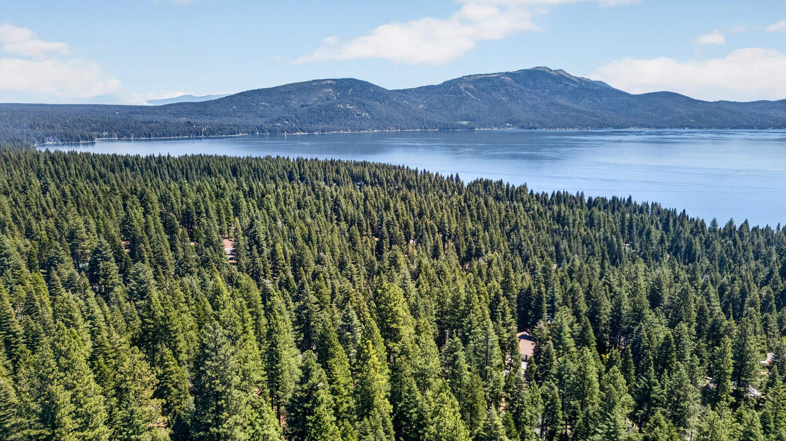 647 East Mountain Ridge Road Lake Almanor, CA 96137 - Photo 24 of 24