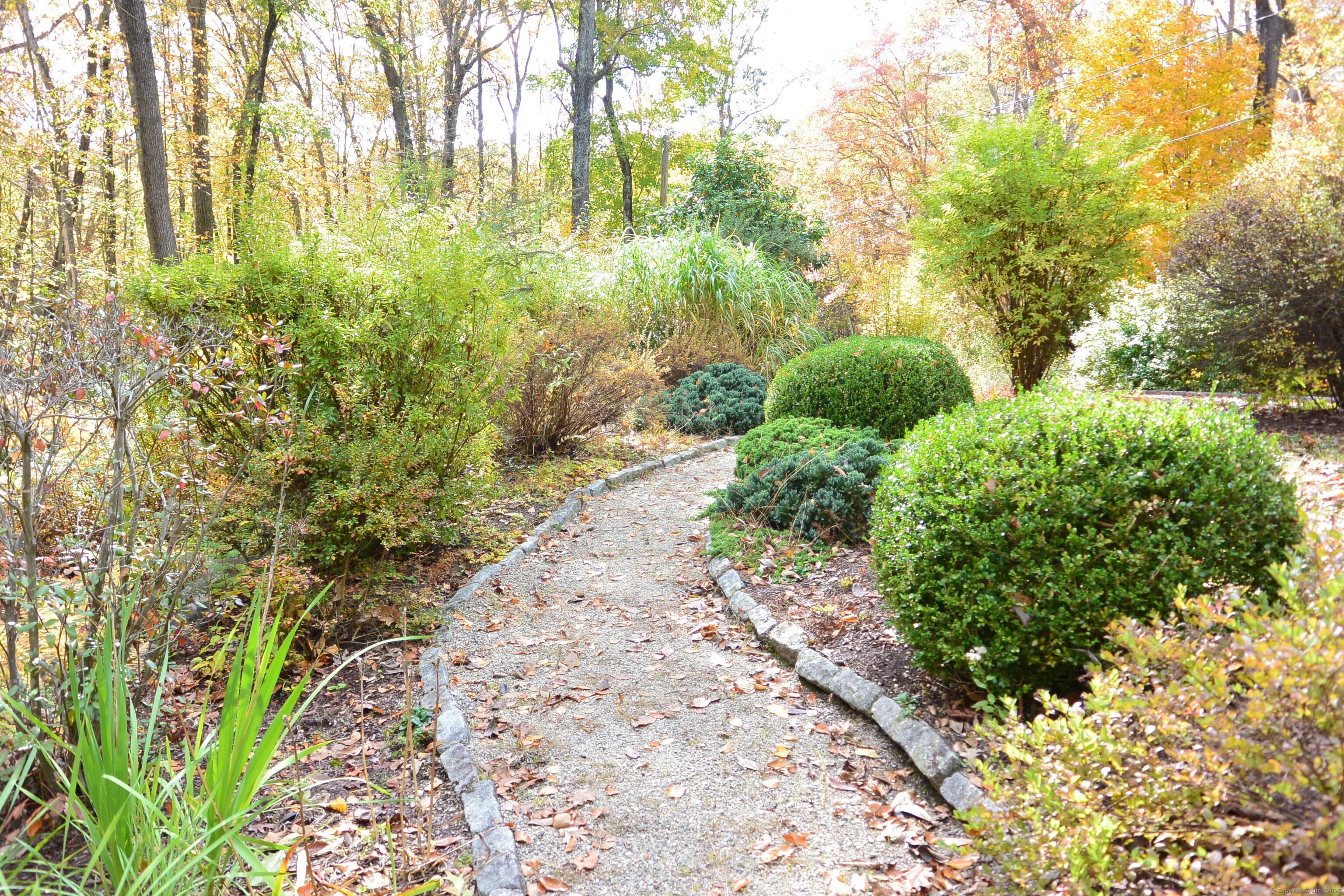 439 Cheese Spring Road New Canaan, CT 06840 - Photo 26 of 36 a view of a yard with plants and large trees