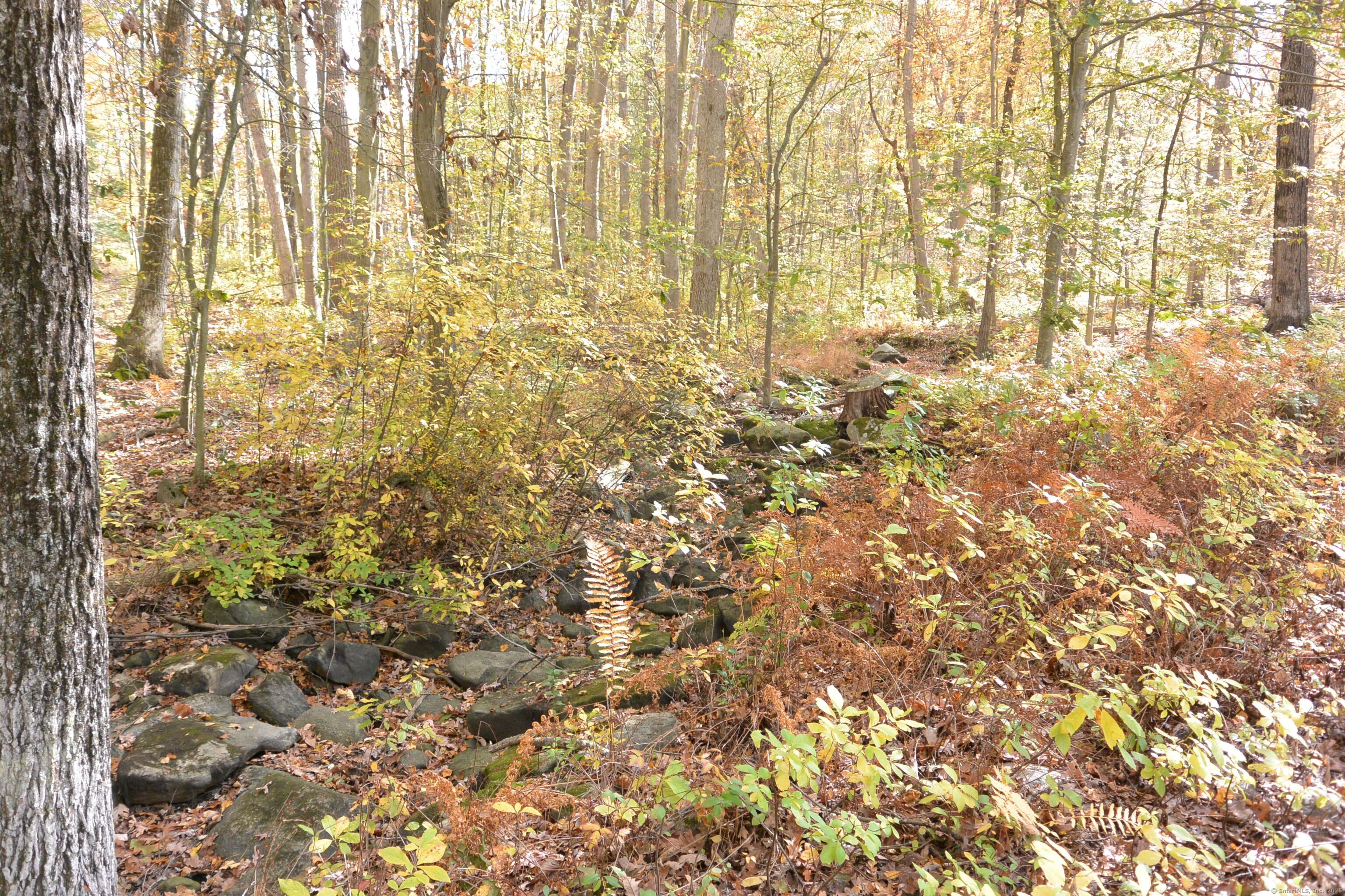 439 Cheese Spring Road New Canaan, CT 06840 - Photo 34 of 36 a bathroom with a shower curtain
