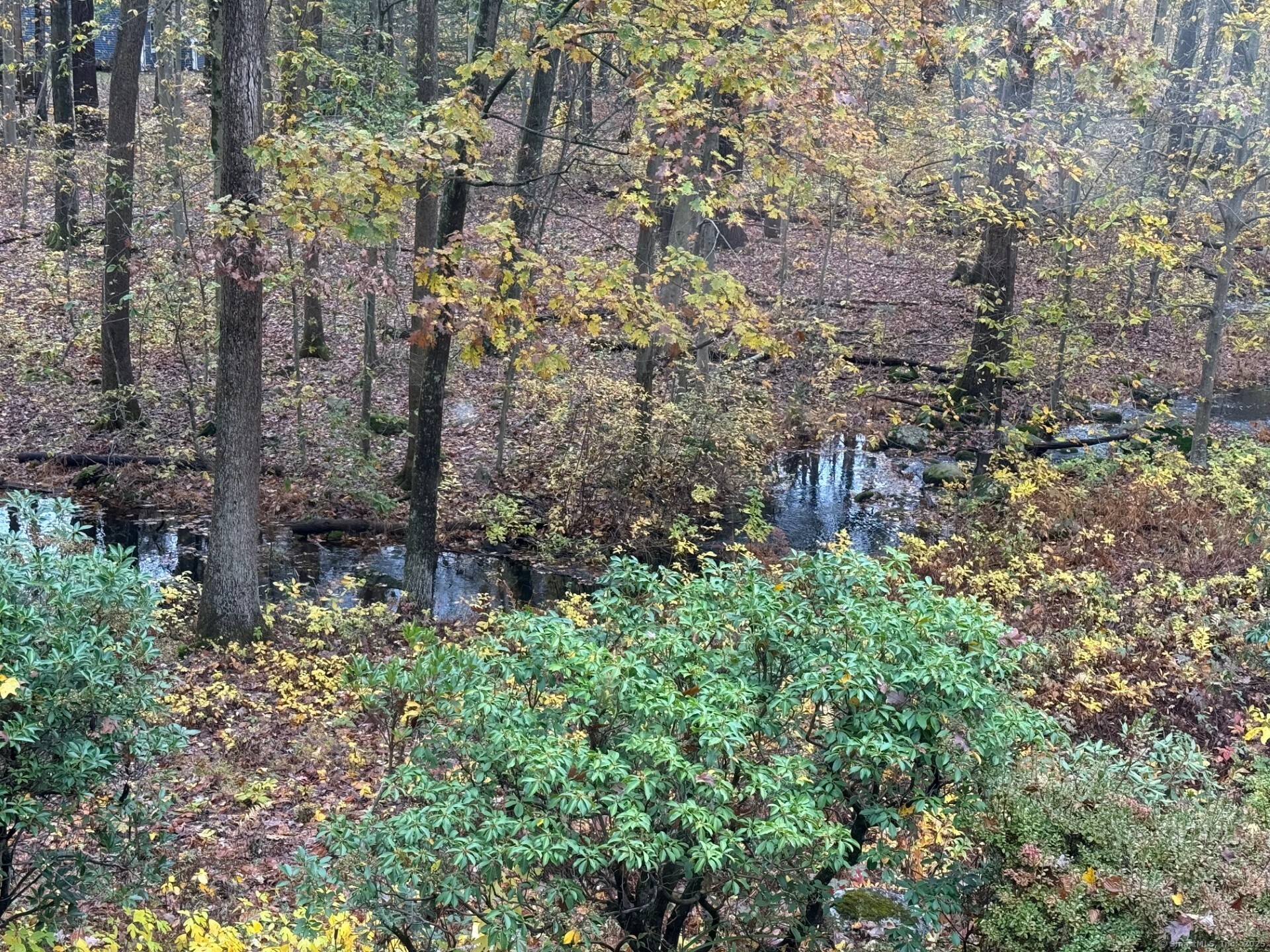 439 Cheese Spring Road New Canaan, CT 06840 - Photo 35 of 36 a aerial view of a house with a yard and large trees
