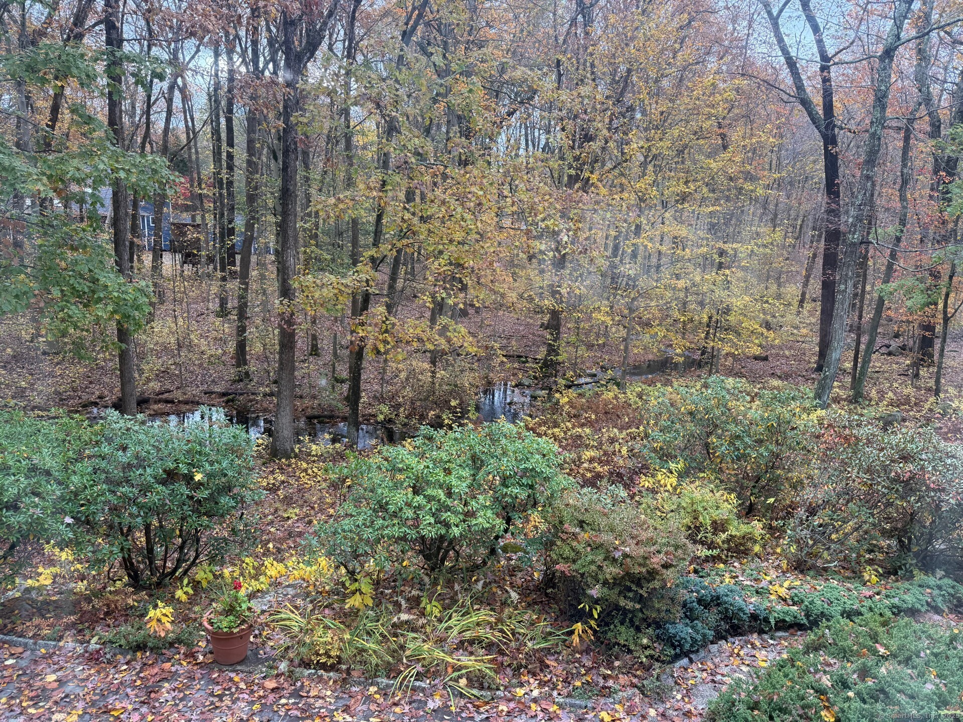 439 Cheese Spring Road New Canaan, CT 06840 - Photo 36 of 36 a view of a garden with large trees