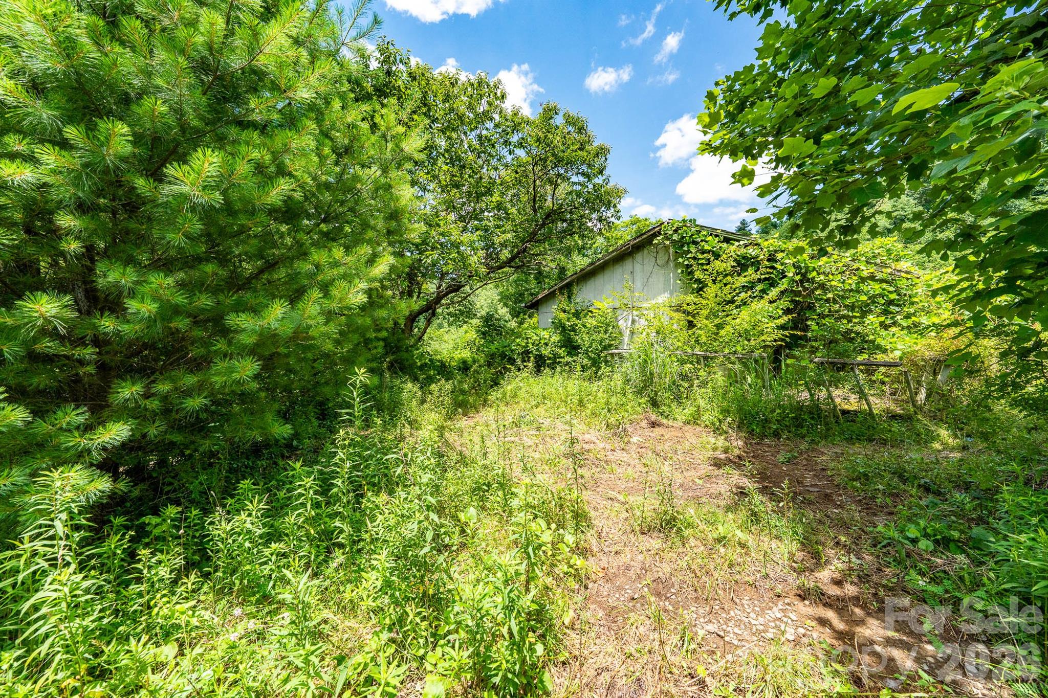 789 Jarrett Cove Road Marshall, NC 28753 - Photo 17 of 41
