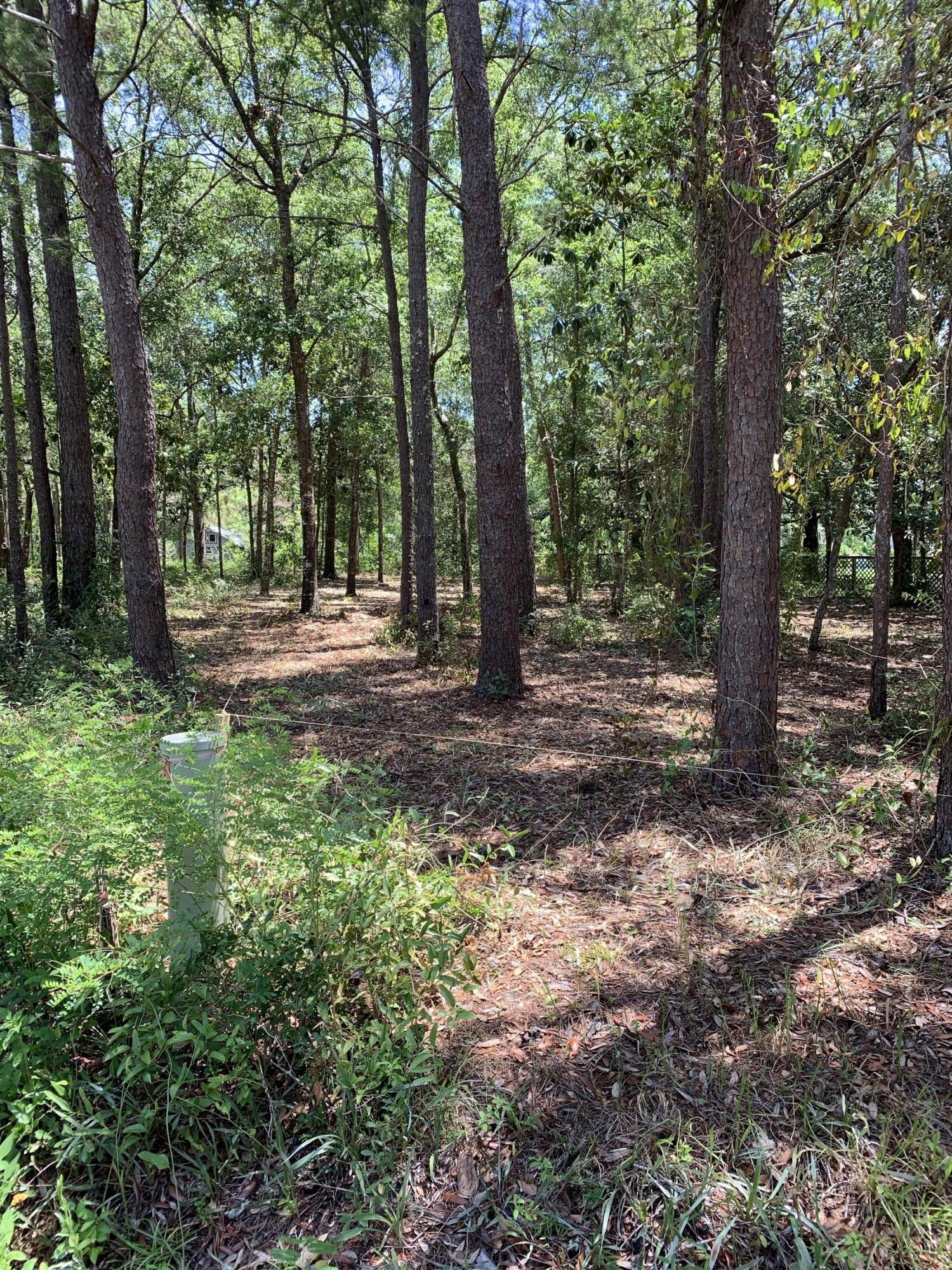 Lot 19 Ricker Avenue Santa Rosa Beach, FL 32459 - Photo 1 of 6 G54ug9w3TYy+joaUVzq4eA