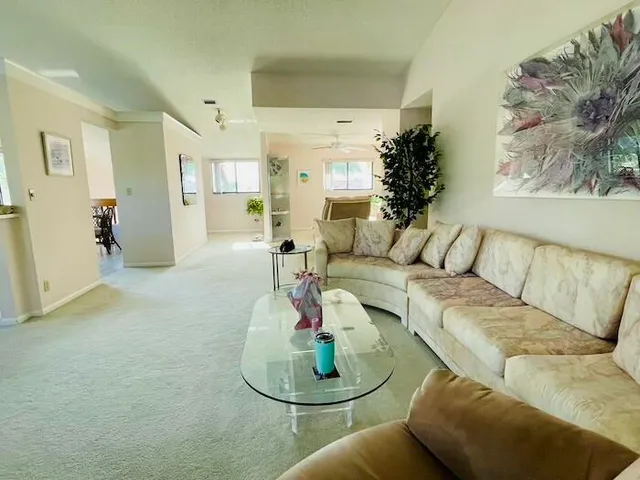 a living room with furniture and a potted plant