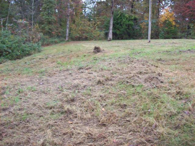 125 Peck Lane Decatur, TN 37322 - Photo 36 of 38 36