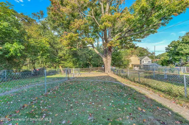 a view of backyard with green space