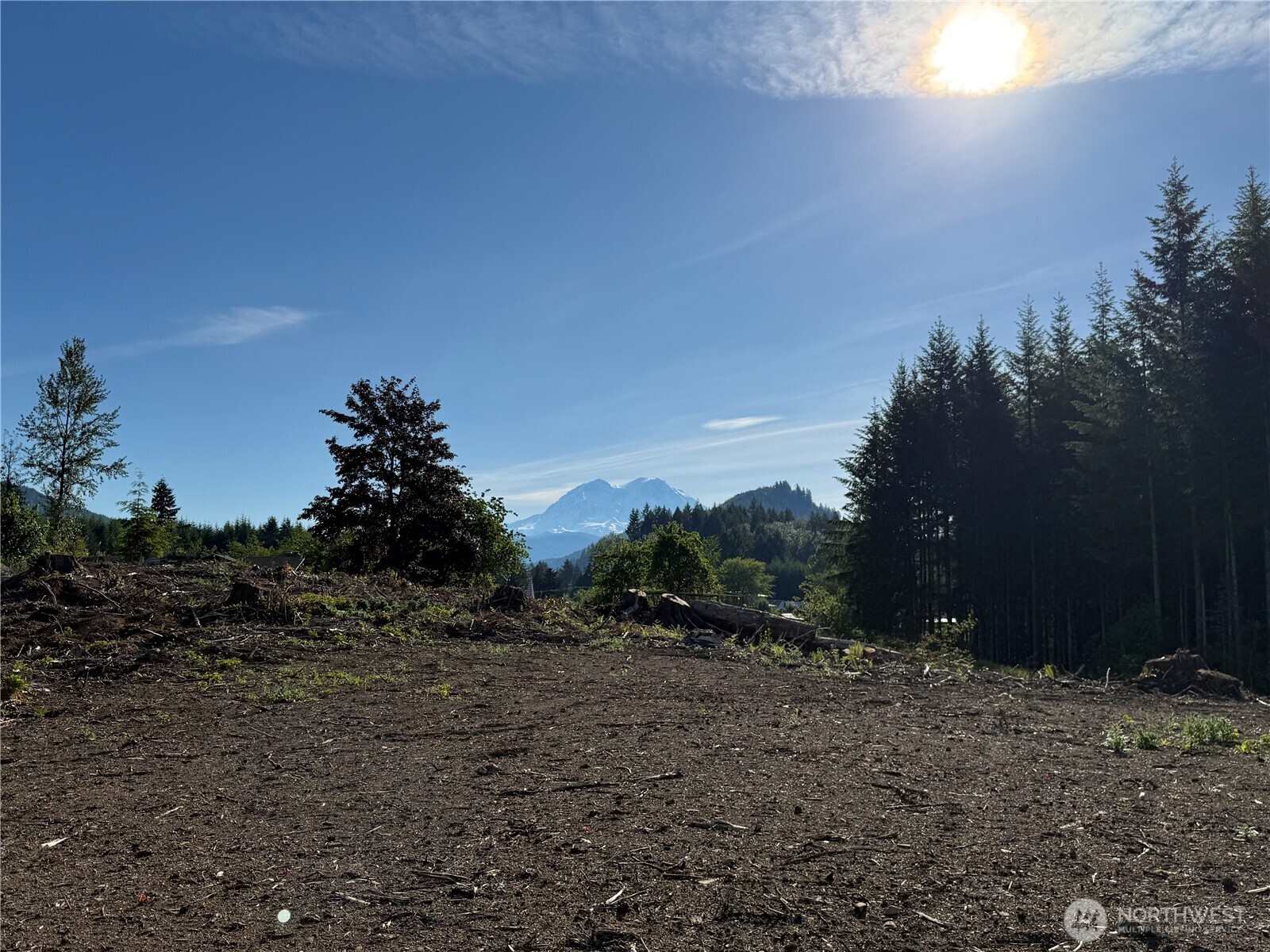 215 Mineral Road North Mineral, WA 98355 - Photo 11 of 29