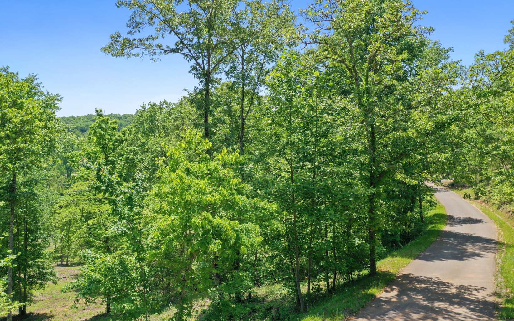 Lt27-28b Lt27-28b Haven Way Blue Ridge, GA 30513 - Photo 8 of 20 Additional View