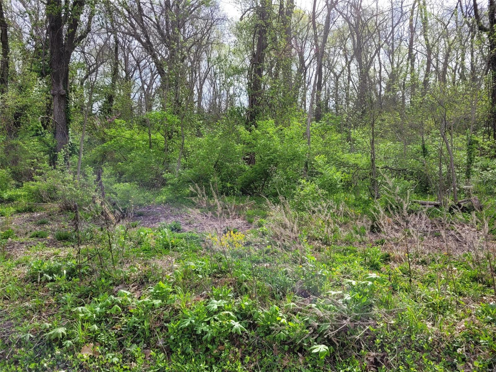 0 Dyer (1.62 /- Acres) Road O'Fallon, MO 63366 - Photo 1 of 5 Gallery Image 1
