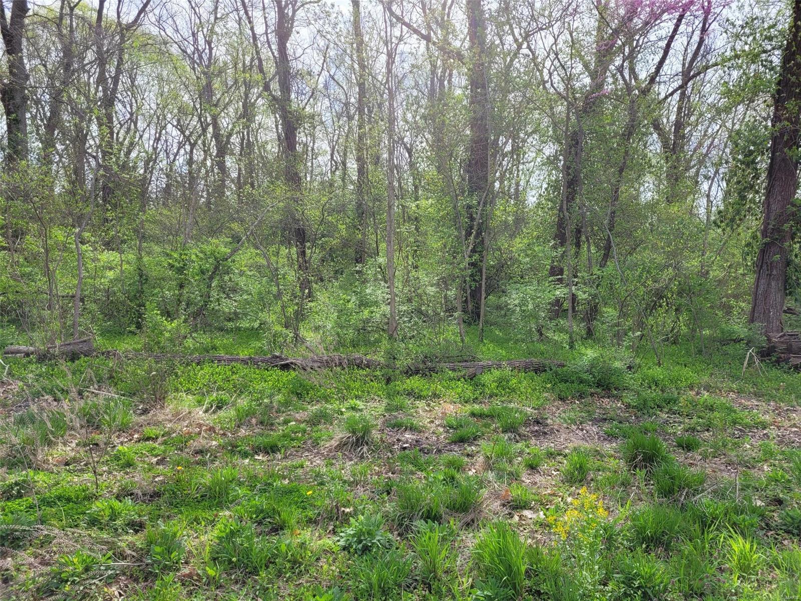 0 Dyer (1.62 /- Acres) Road O'Fallon, MO 63366 - Photo 3 of 5 Gallery Image 3