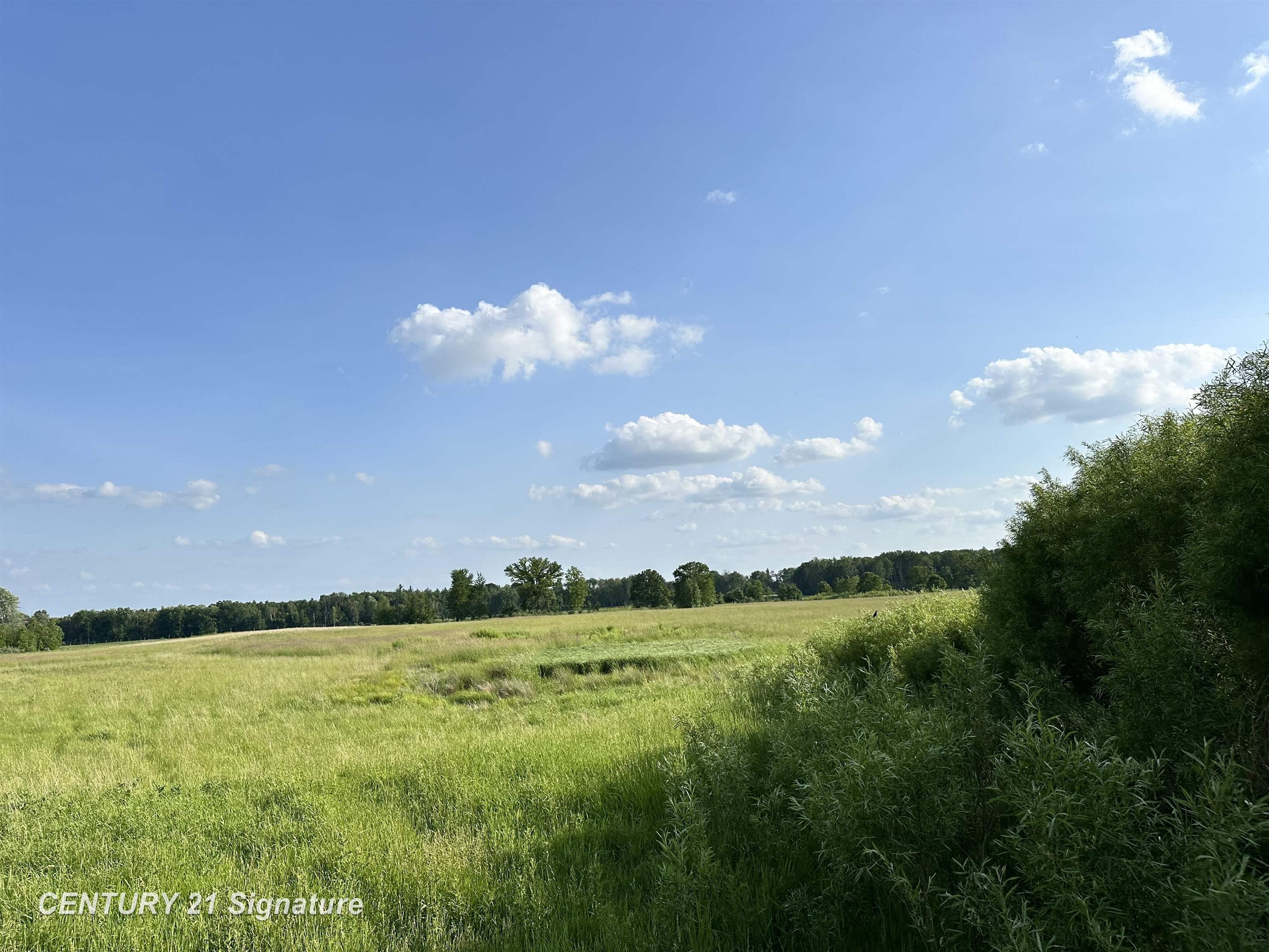 60 Estey Road Beaverton, MI 48612 - Photo 8 of 15