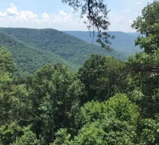 $129,000 | 41 Wohalie Lane, South Pittsburg, TN 37380