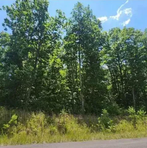 $129,000 | 41 Wohalie Lane, South Pittsburg, TN 37380