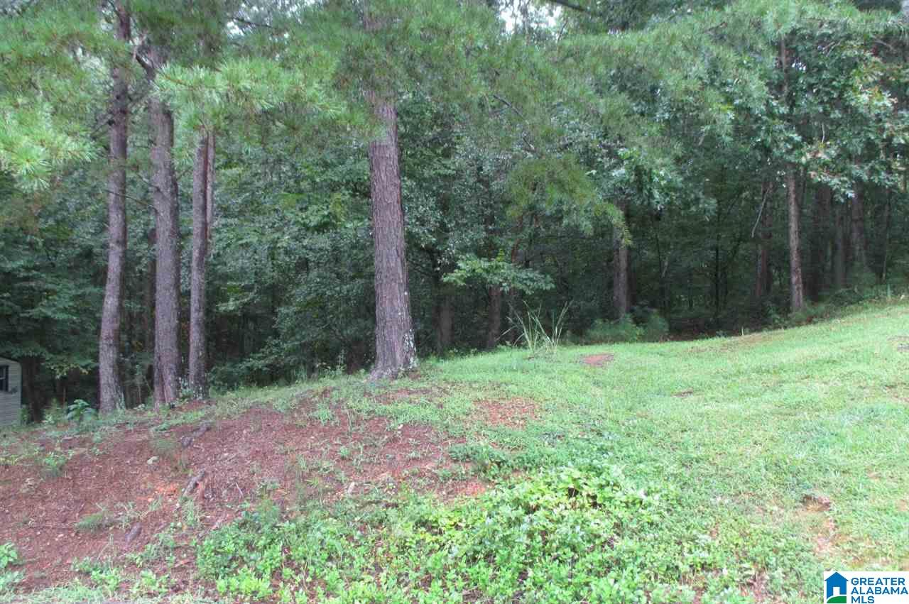 1466 King Road Oneonta, AL 35121 - Photo 24 of 29