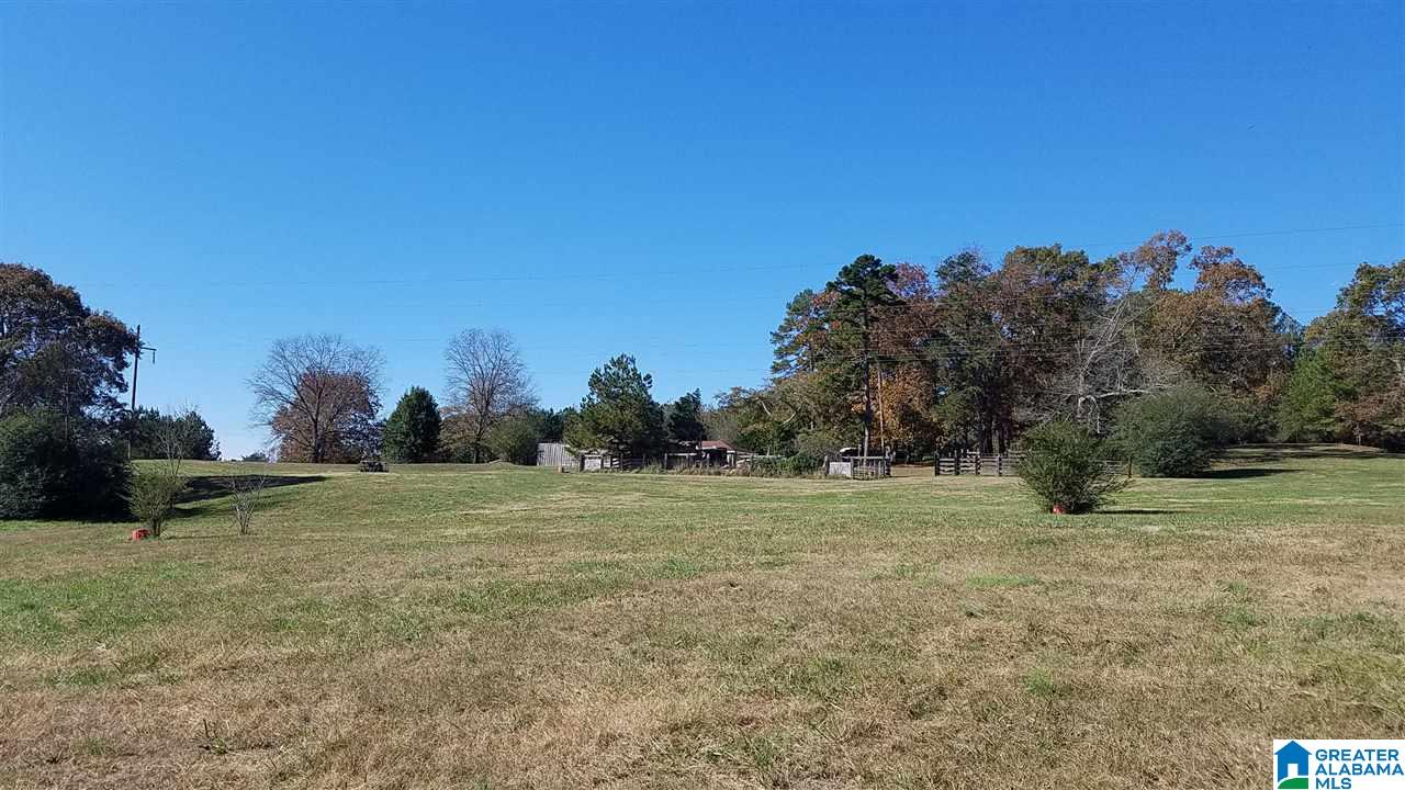 298 Bowerman Road Blountsville, AL 35031 - Photo 14 of 30