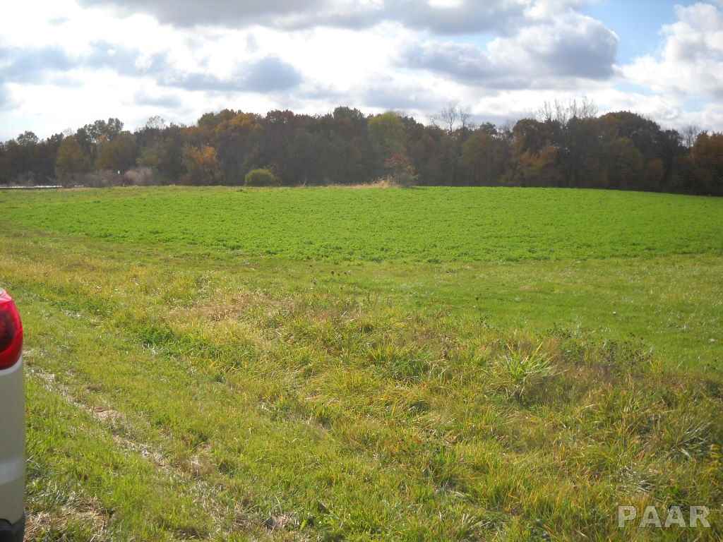 1063 Tax School Road Lacon, IL 61540 - Photo 4 of 7 Gallery Image 4