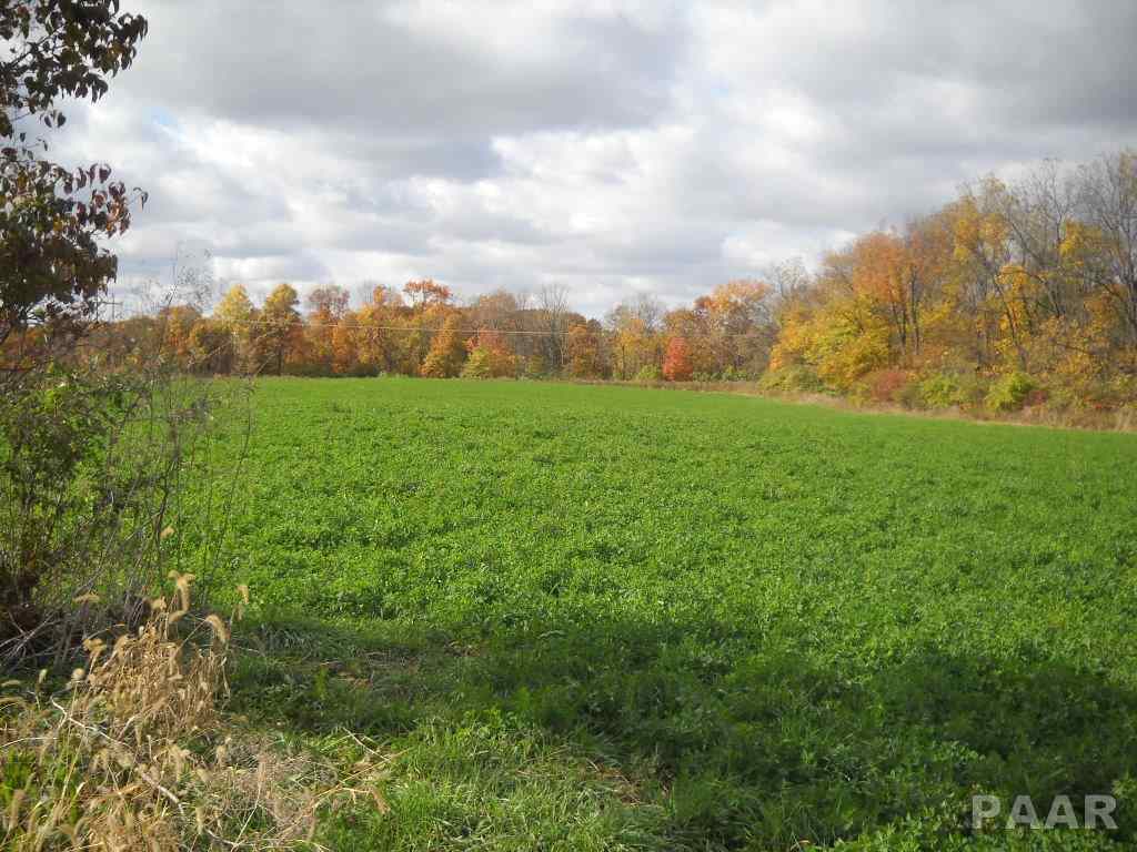 1063 Tax School Road Lacon, IL 61540 - Photo 7 of 7 Gallery Image 7
