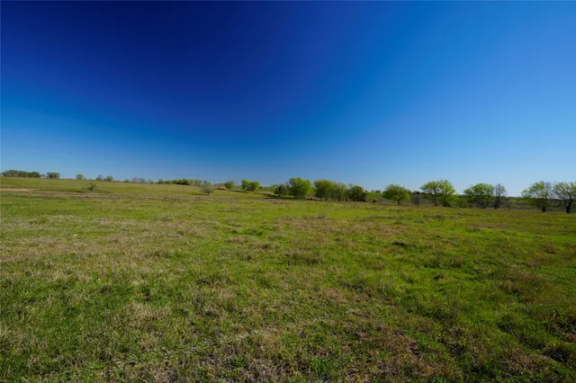 a view of an ocean from a yard