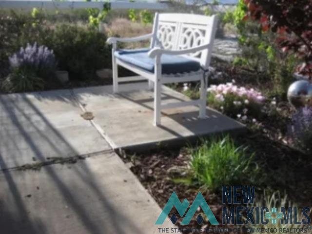 Tbd Tbd Caballos Road Rodeo, NM 88056 - Photo 31 of 46 View of patio