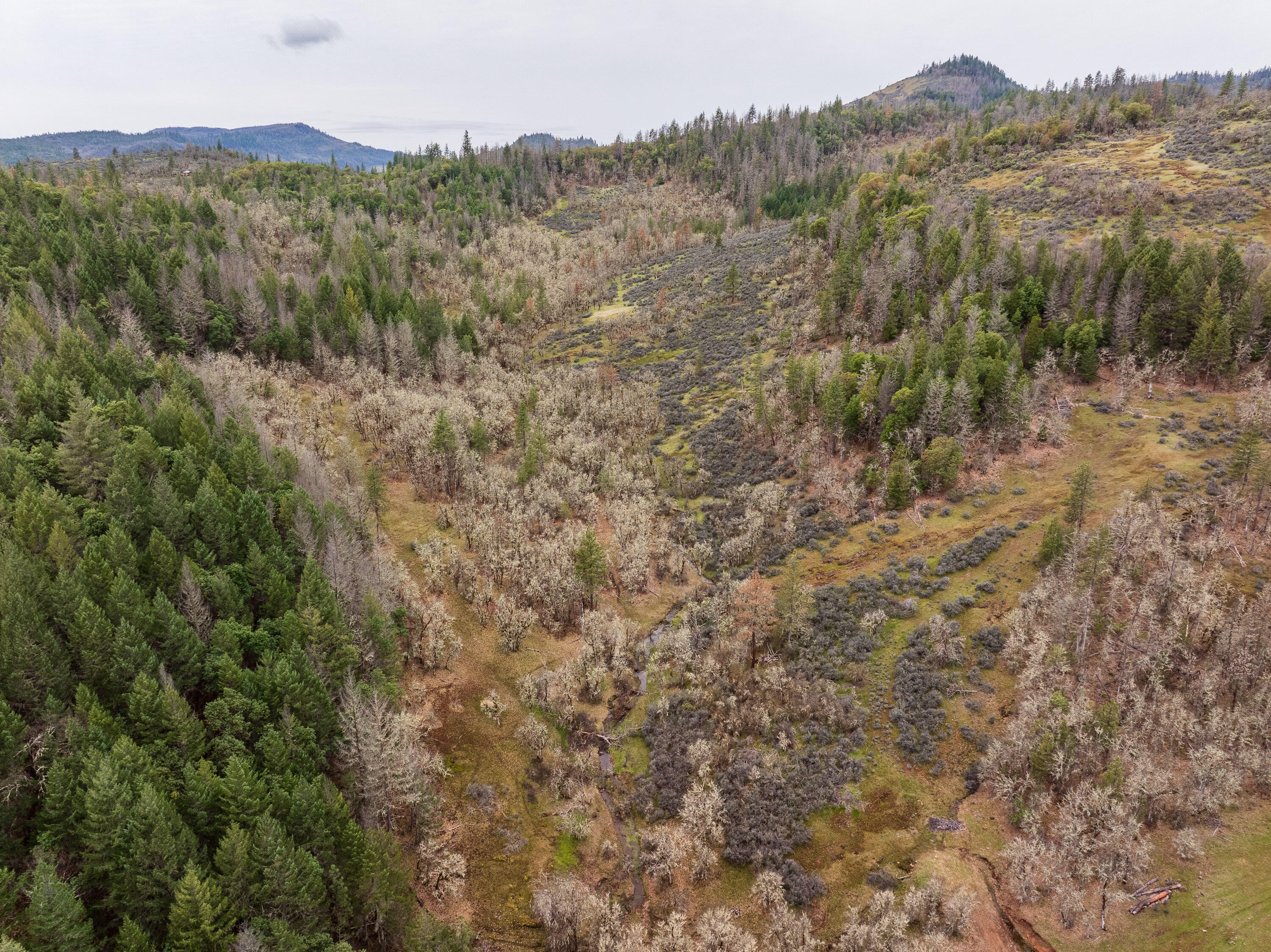 2527 Crowfoot Road Eagle Point, OR 97524 - Photo 8 of 24 2527CrowfootRd-006