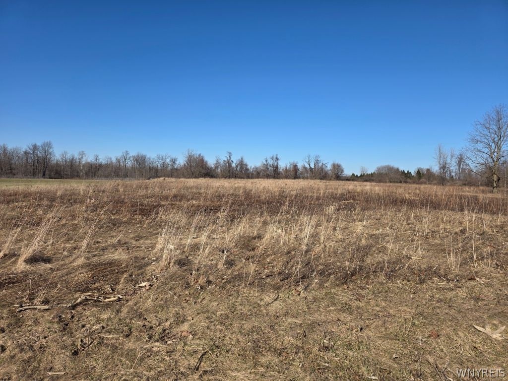 10880 Miland Road Clarence, NY 14032 - Photo 3 of 5