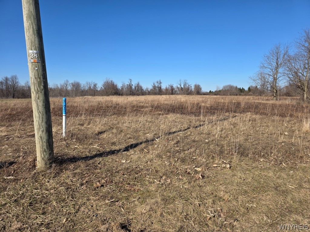 10880 Miland Road Clarence, NY 14032 - Photo 4 of 5