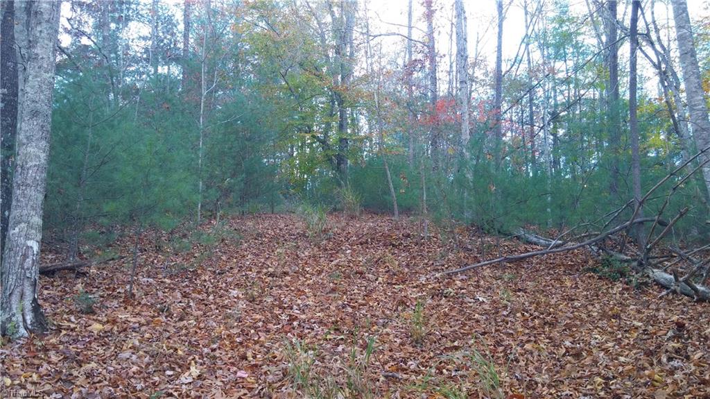 Tbd Walsh Road Purlear, NC 28665 - Photo 1 of 1 Gallery Image 1