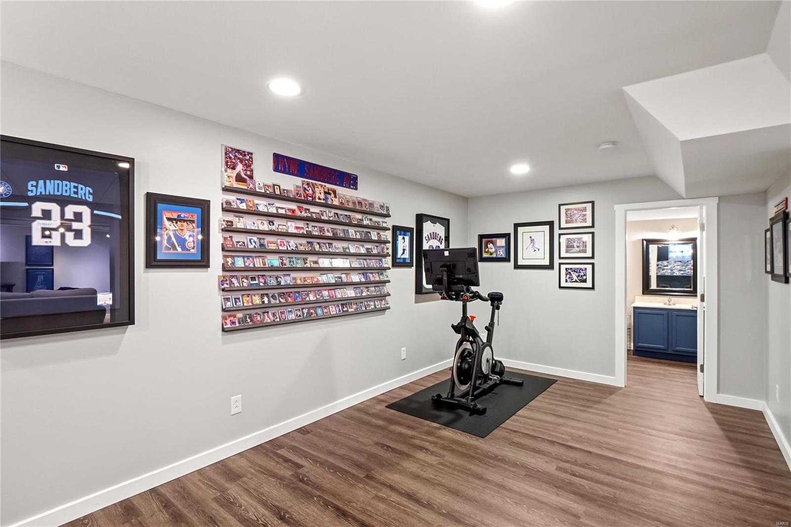 3516 Adler Court Shiloh, IL 62221 - Photo 49 of 50