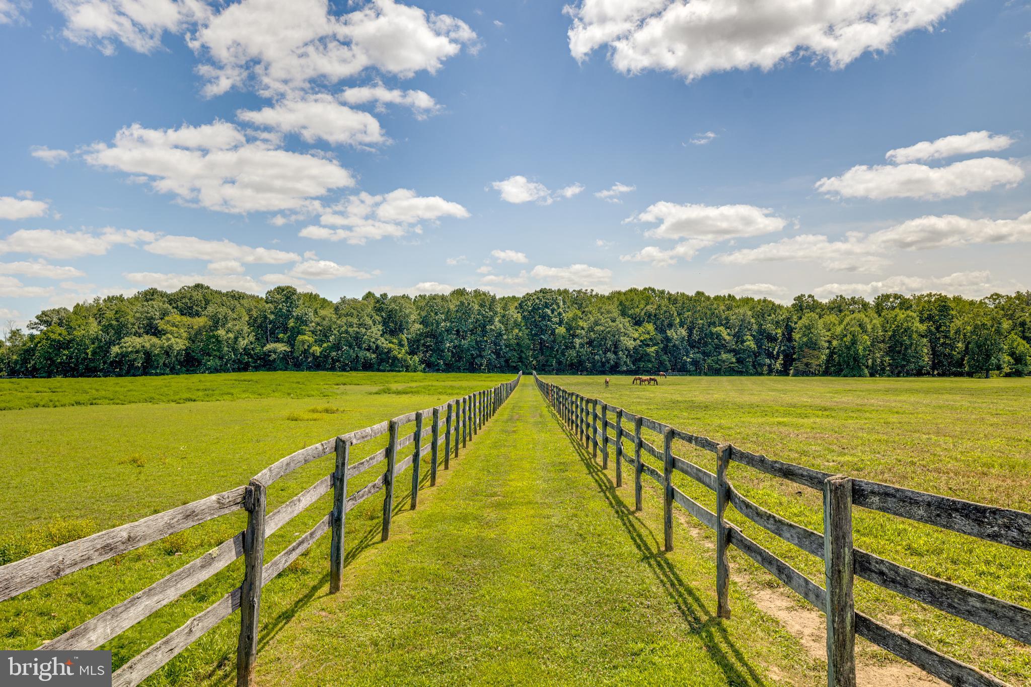 36 White Pine Road Chesterfield, NJ 08515 - Photo 11 of 33