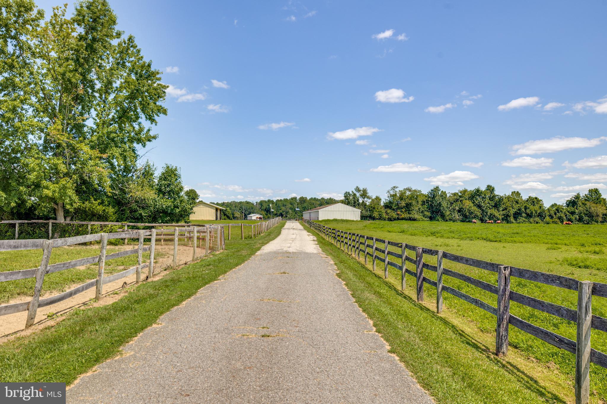 36 White Pine Road Chesterfield, NJ 08515 - Photo 12 of 33 a view of a swimming pool with a yard