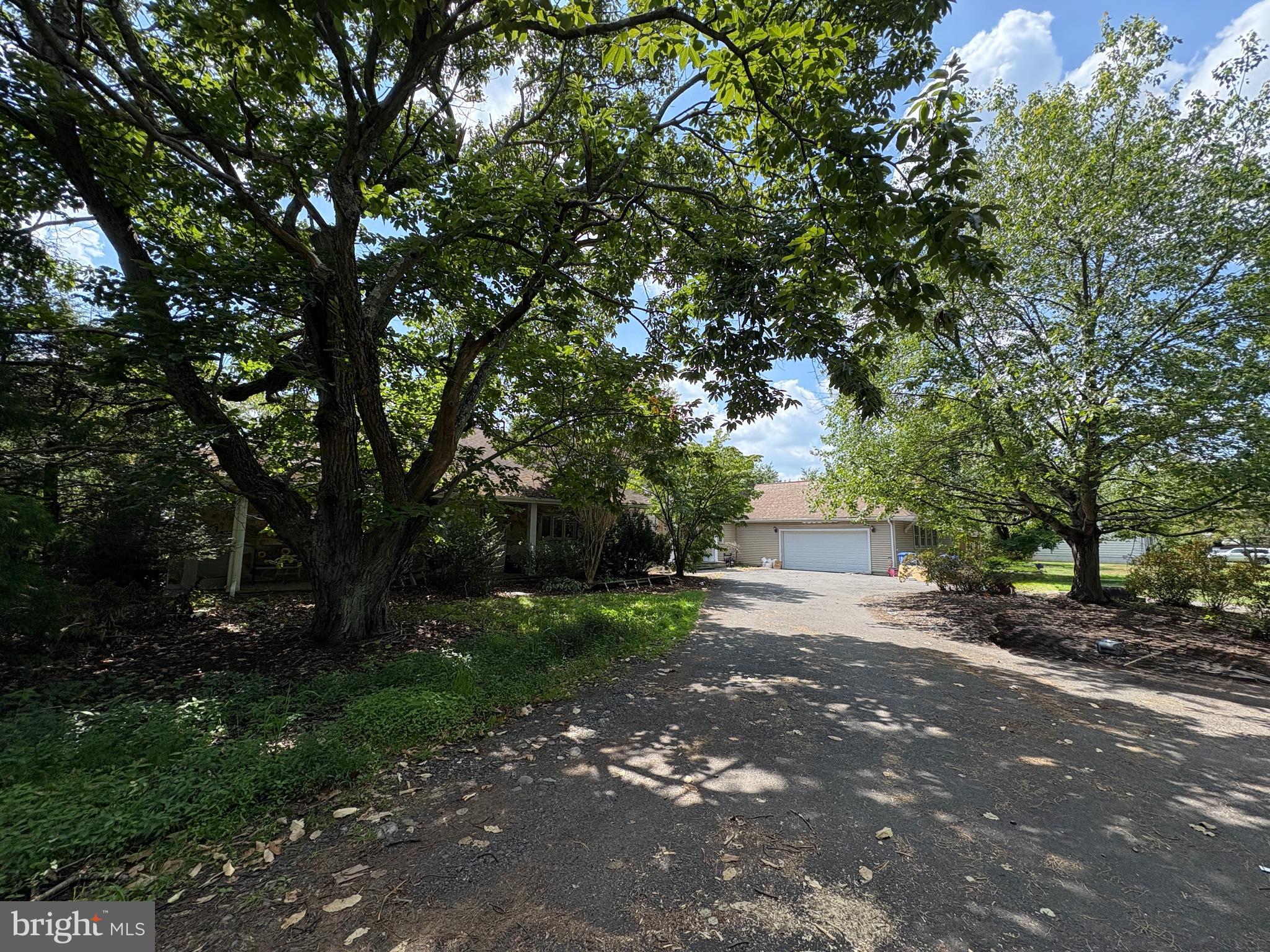 36 White Pine Road Chesterfield, NJ 08515 - Photo 31 of 33 a view of a street with a tree