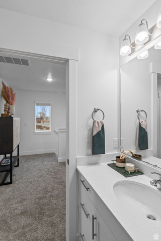 3003 South 265th Street West, Unit 751 Logan, UT 84321 - Photo 20 of 29 Bathroom featuring vanity, light carpet, and a textured ceiling