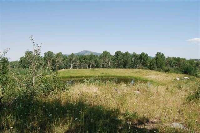 a view of a lake view