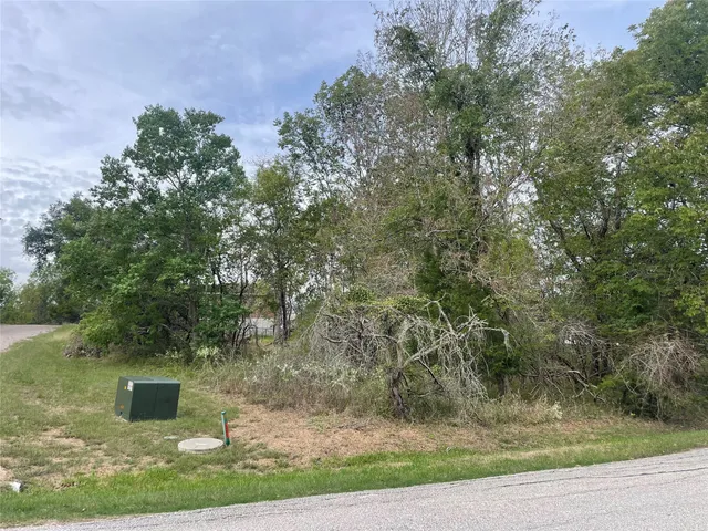 $24,900 | Tbd North Frst Cv Loop, Coldspring, TX 77331