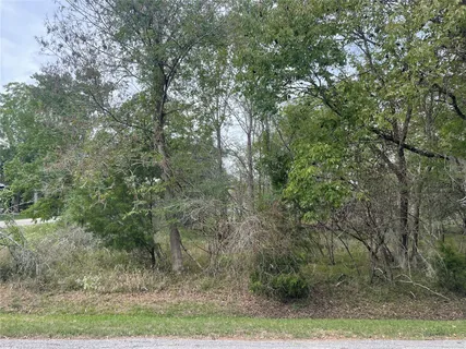 $24,900 | Tbd North Frst Cv Loop, Coldspring, TX 77331