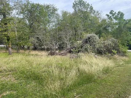 $24,900 | Tbd North Frst Cv Loop, Coldspring, TX 77331