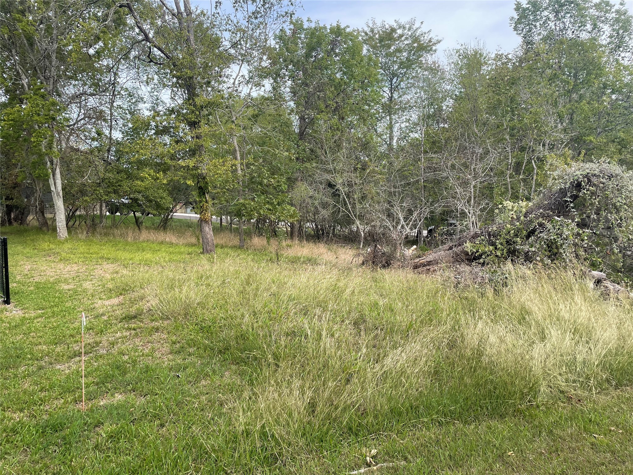 Tbd North Frst Cv Loop Coldspring, TX 77331 - Photo 5 of 16 Back of the lot