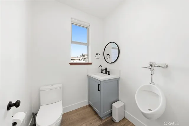 a view of a garden with plants and large trees