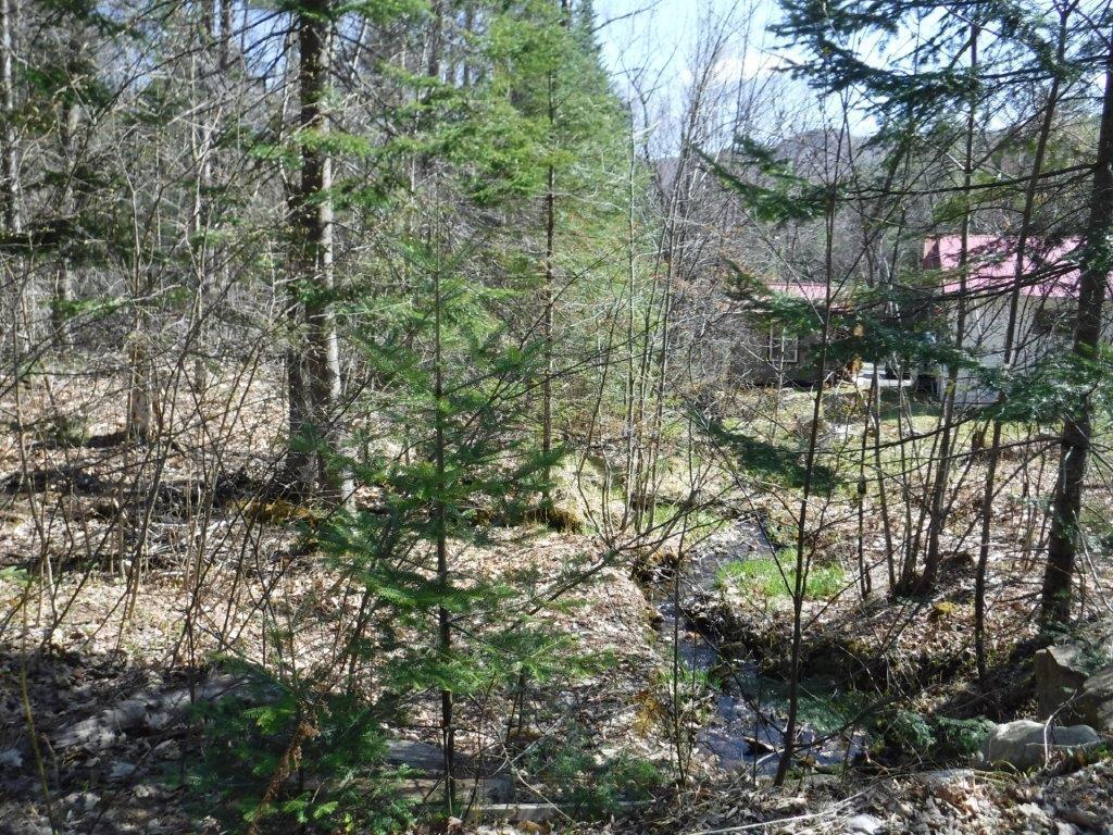 62 Byron Village Road Roxbury, ME 04275 - Photo 6 of 36 18 Lot